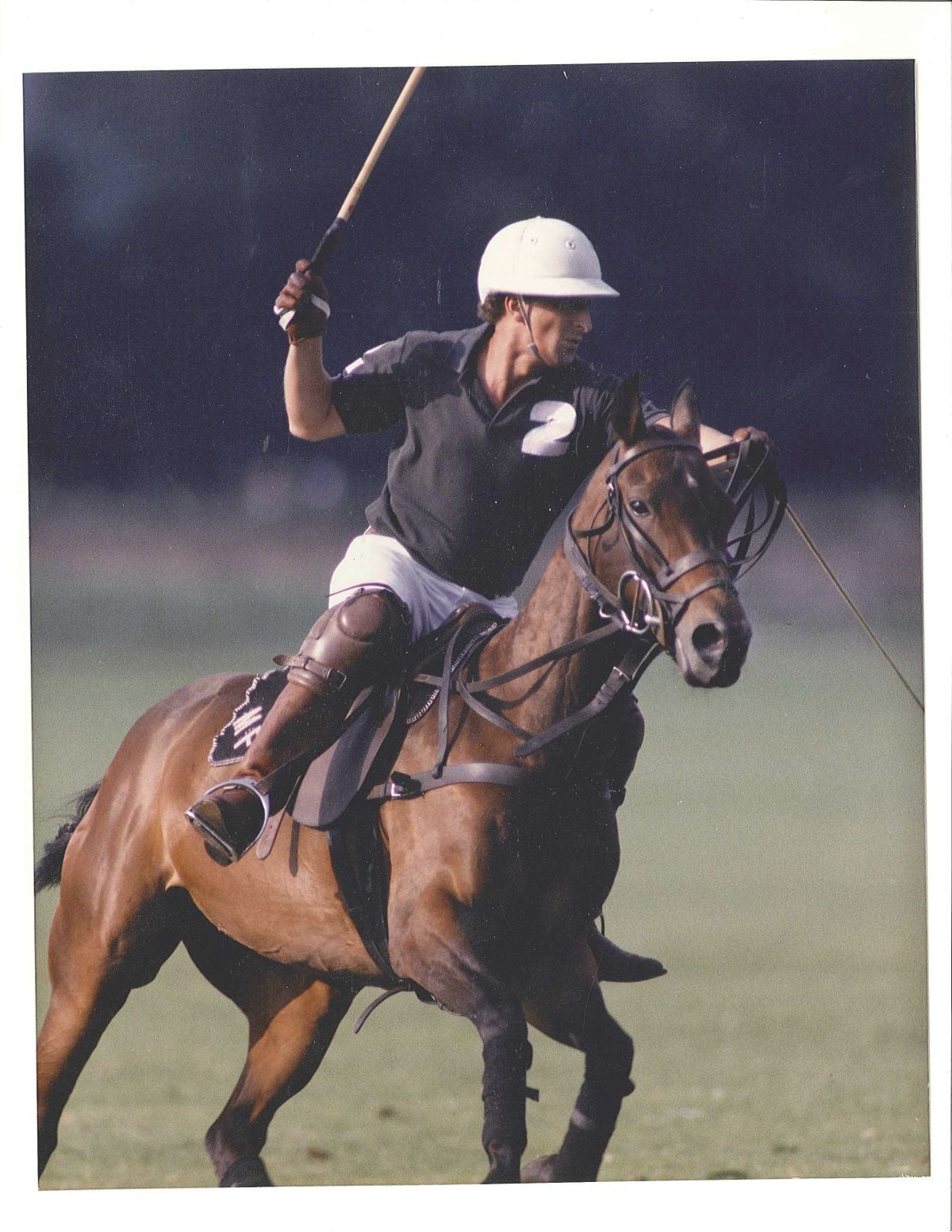 Polo Player In The Making